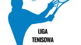 Logo Ligi_400